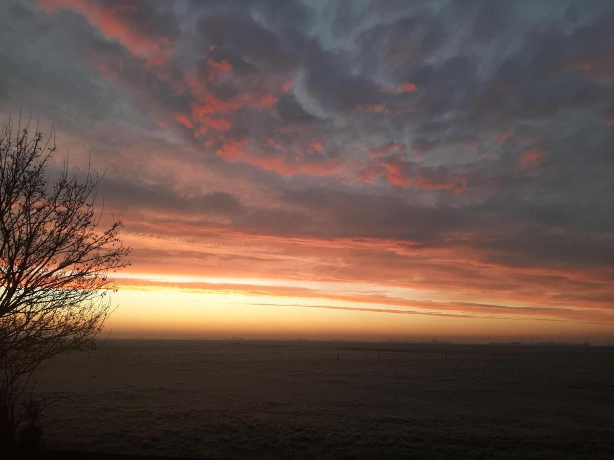 Glamping De Vrije Wind, Tentverhuur Houwerzijl ภายนอก รูปภาพ